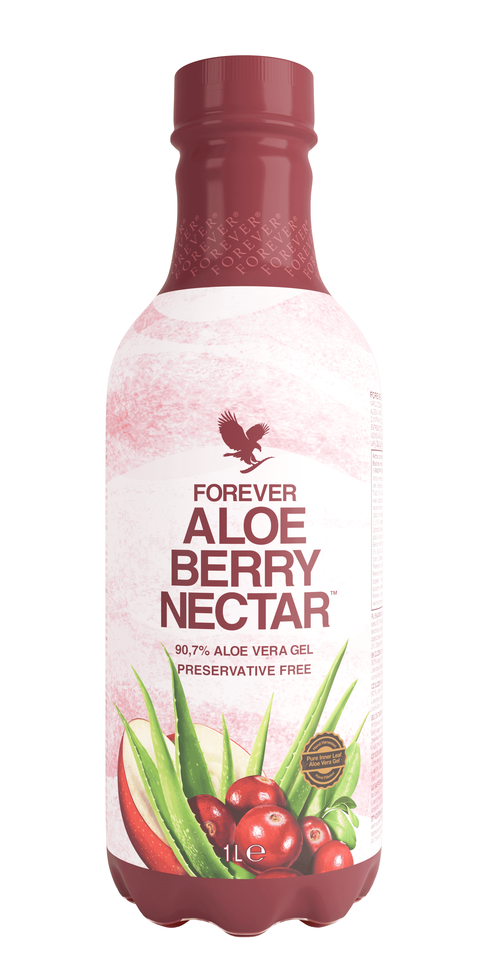 Fruchtig frische Aloe Vera Getränke